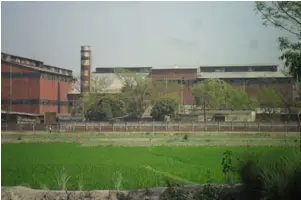 রংপুর চিনিকলের শ্রমিক-কর্মচারীদের থালা হাতে বিক্ষোভ রংপুর চিনিকলের শ্রমিক-কর্মচারীদের থালা হাতে বিক্ষোভ