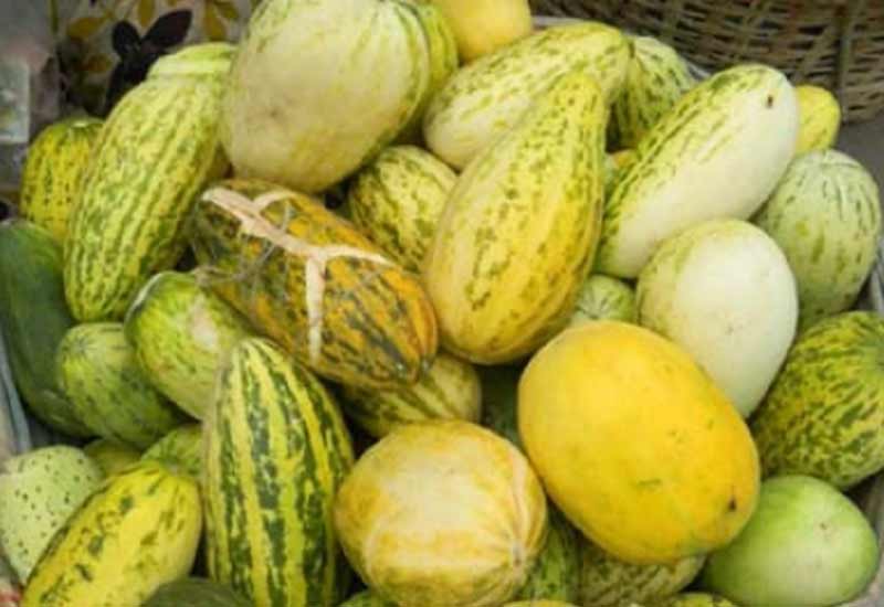 গ্রীষ্মকালীন ফল বাঙ্গির উপকারিতা গ্রীষ্মকালীন ফল বাঙ্গির উপকারিতা