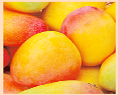 অন্যসব স্বাস্থ্য ভাবনা