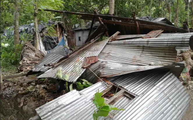 ঘূর্ণিঝড়ে মাগুরায় ঘরবাড়ি, ফল ও ফসলের ব্যাপক ক্ষতি