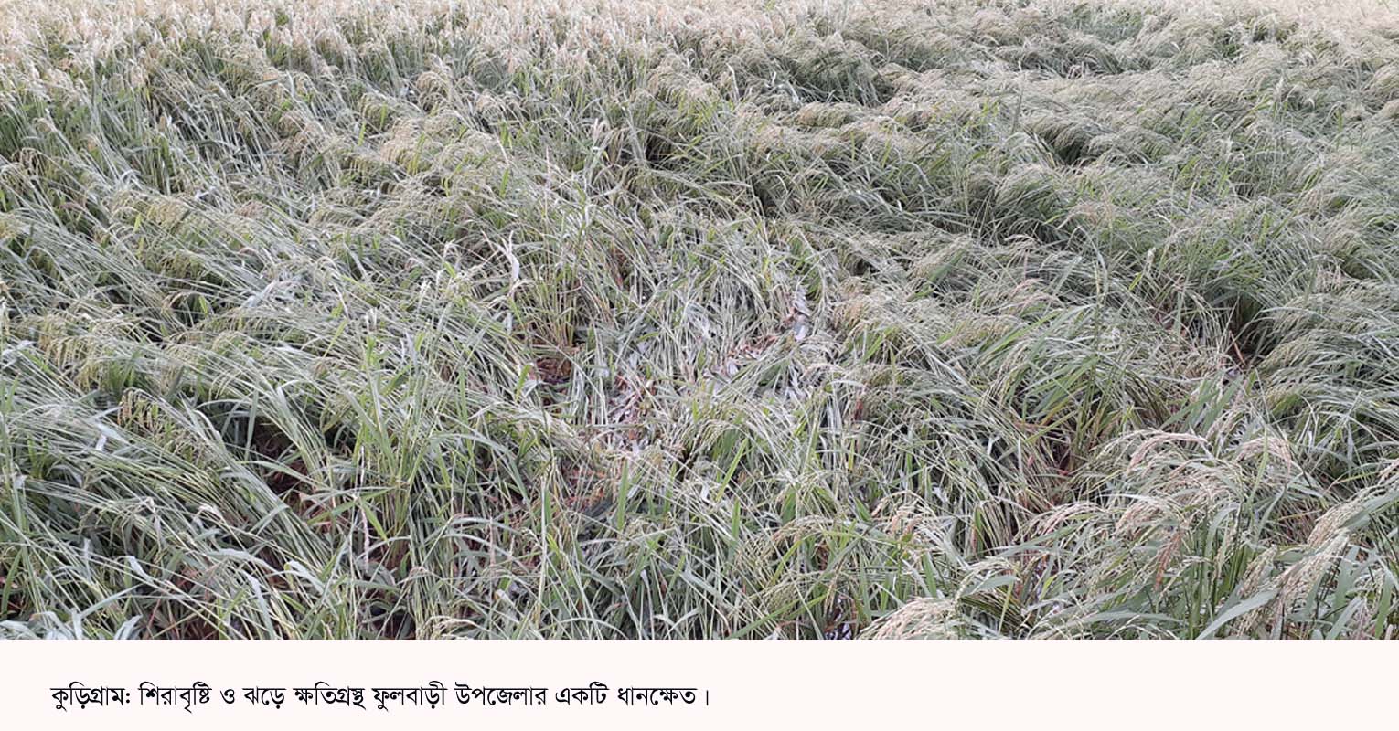 কুড়িগ্রামে শিলাবৃষ্টিতে ফসলের ক্ষতি, পানিতে ডুবে গেছে ধান কুড়িগ্রামে শিলাবৃষ্টিতে ফসলের ক্ষতি, পানিতে ডুবে গেছে ধান