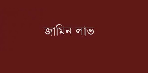 ভার্চুয়াল কোর্টে এ পর্যন্ত ২০ হাজার ৯৩৮ জনের জামিন