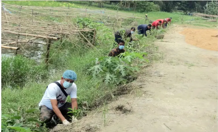 বৃক্ষ রোপণ কর্মসূচীর উদ্বোধন