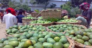 করোনার কারণে আম রফতানি অনিশ্চিত করোনার কারণে আম রফতানি অনিশ্চিত