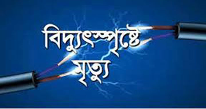 মির্জাপুরে বিদ্যুতের তারে জড়িয়ে স্বামী-স্ত্রীর মৃত্যু