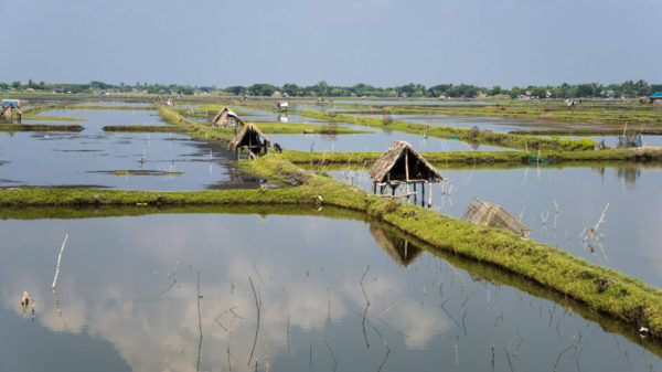 বাঁধের ১০০ মিটারের মধ্যে ঘের করা যাবে না