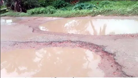 দাশুড়িয়া- দরগাহাট সড়কের সংস্কার প্রয়োজন দাশুড়িয়া- দরগাহাট সড়কের সংস্কার প্রয়োজন