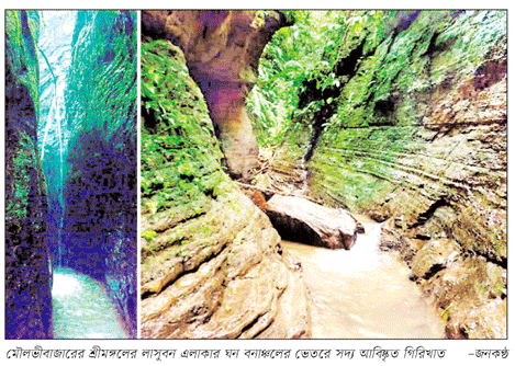 শ্রীমঙ্গলের লাসুবনে সন্ধান মিলল তিন গিরিখাতের শ্রীমঙ্গলের লাসুবনে সন্ধান মিলল তিন গিরিখাতের