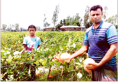 সৌদি আরবের ‘সাম্মাম’ ফল এখন আত্রাইয়ে