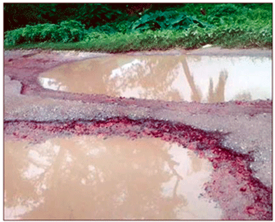 সংস্কারহীন ৮ কিমি সড়ক \ আট গ্রামের মানুষের দুর্ভোগ সংস্কারহীন ৮ কিমি সড়ক \ আট গ্রামের মানুষের দুর্ভোগ