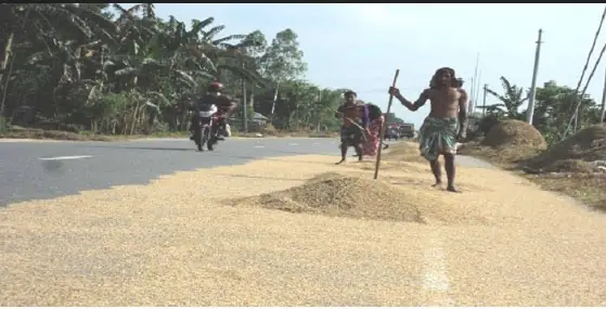 দিনাজপুরের সাড়ে ৩ হাজার কিলোমিটার সড়কে খড়ের পালা