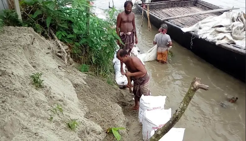 টাঙ্গাইলের ভূঞাপুরে যমুনা নদীতে ভাঙ্গন