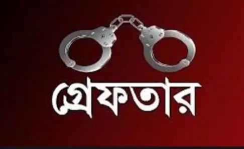 শায়েস্তাগঞ্জে জুয়ার আসর থেকে ১২ জন গ্রেফতার শায়েস্তাগঞ্জে জুয়ার আসর থেকে ১২ জন গ্রেফতার