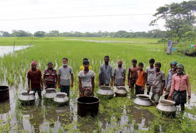 কালকিনিতে ৫লাখ টাকার মাছের পোনা অবমুক্ত করলেন কৃষকরা