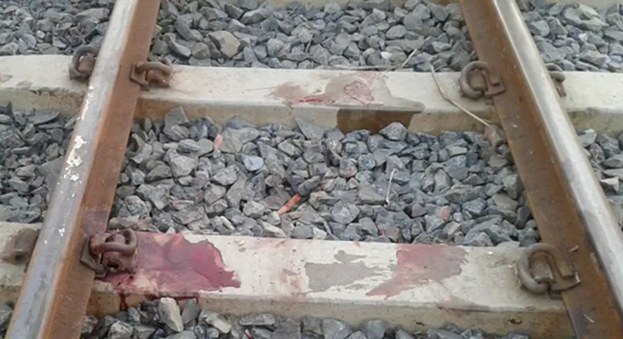 রাজধানীতে ট্রেনে কাটা পড়ে তিনজনের মৃত্যু রাজধানীতে ট্রেনে কাটা পড়ে তিনজনের মৃত্যু