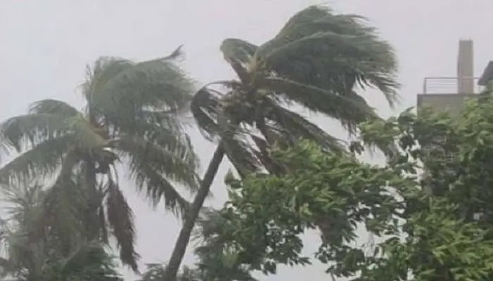 দেশের অর্ধেক অঞ্চলে ঝড়-বৃষ্টির পূর্বাভাস দেশের অর্ধেক অঞ্চলে ঝড়-বৃষ্টির পূর্বাভাস