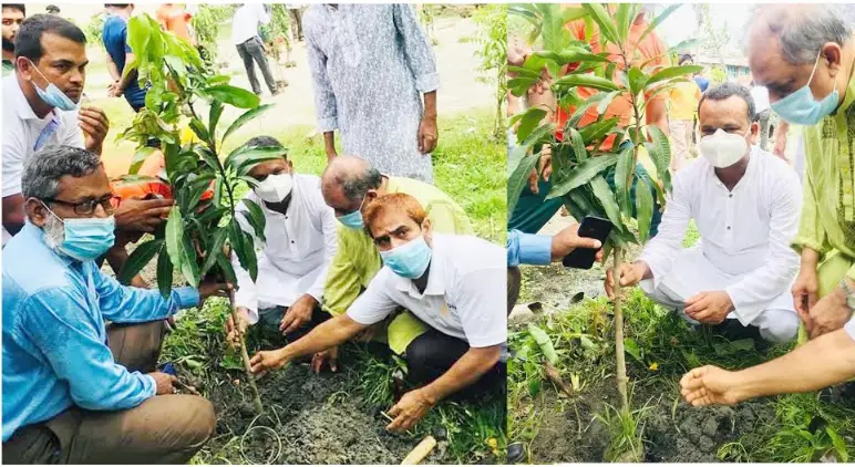 বরিশালে বৃক্ষরোপণ কর্মসূচি বরিশালে বৃক্ষরোপণ কর্মসূচি