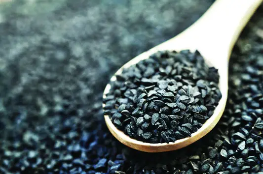 কালোজিরার যত গুণাগুণ কালোজিরার যত গুণাগুণ
