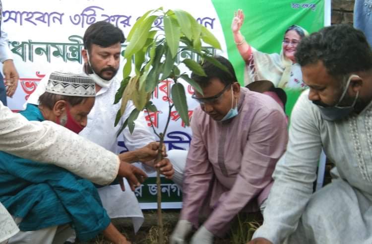 ঢাকা -০৫ আসনে আজ শতাধিক বৃক্ষ রোপন করেন কামরুল হাসান রিপন