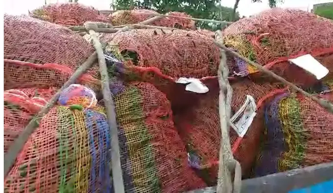 কাঁচামরিচ আমদানি হচ্ছে ভারত থেকে কাঁচামরিচ আমদানি হচ্ছে ভারত থেকে