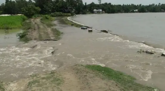 টাঙ্গাইলের ধলেশ্বরীতে বাঁধ ভেঙ্গে বিস্তীর্ণ এলাকা প্লাবিত