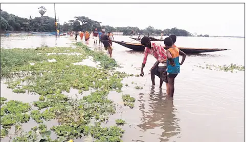 নেত্রকোনায় বন্যায় ভেসে গেছে সাড়ে ৫ কোটি টাকার মাছ