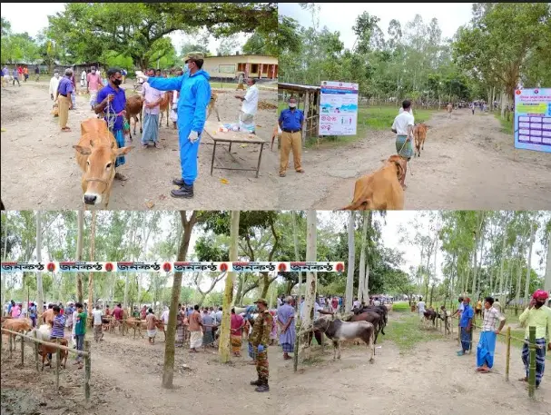 করোনায় নীলফামারীতে কোরবানীর পশুরহাটে স্বাস্থ্যবিধি ও সচেতনতায় সেনাবাহিনী