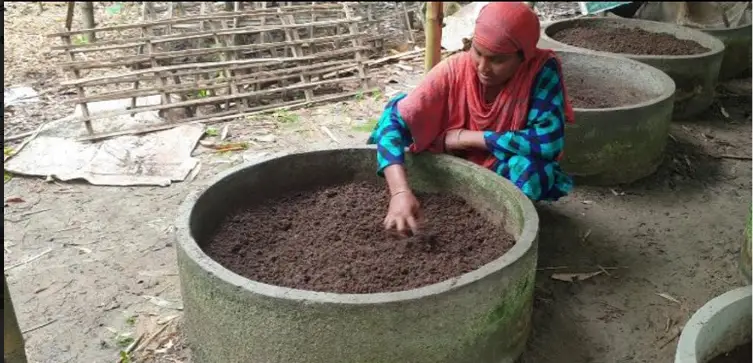 পঞ্চগড়ের ঘটবর কেঁচো সারের গ্রাম ॥ নারীরা স্বাবলম্বী