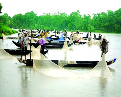 হালদায় পোনা উৎপাদনে এবার রেকর্ড সাফল্য হালদায় পোনা উৎপাদনে এবার রেকর্ড সাফল্য
