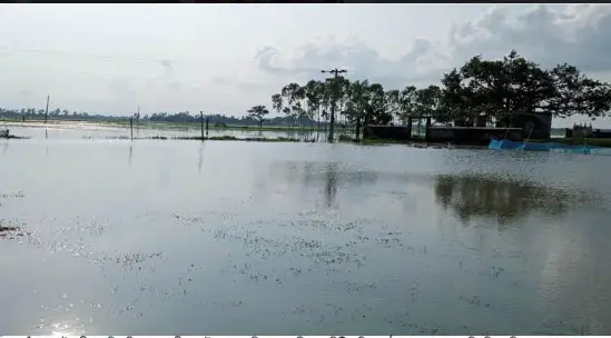 রাণীনগরে আত্রাই নদীর পানি ঢুকে প্লাবিত হচ্ছে নিম্মাঞ্চল