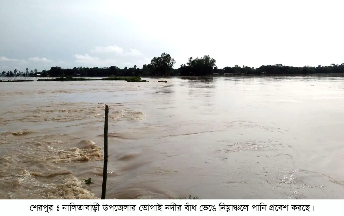 শেরপুরে পাহাড়ি ঢলে ভোগাই বাঁধে ভাঙন, ২৫ গ্রাম প্লাবিত