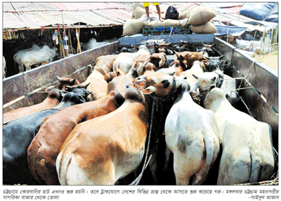 ঈদের দিনসহ ৫ দিন ৬ স্থানে বসবে পশুর হাট