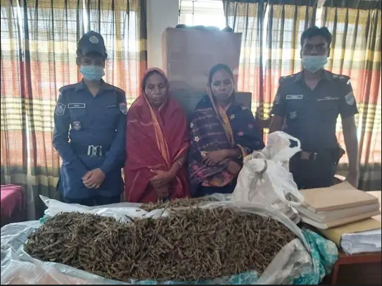 দৌলতপুরে দুই নারী মাদক বিক্রেতাকে আটক দৌলতপুরে দুই নারী মাদক বিক্রেতাকে আটক