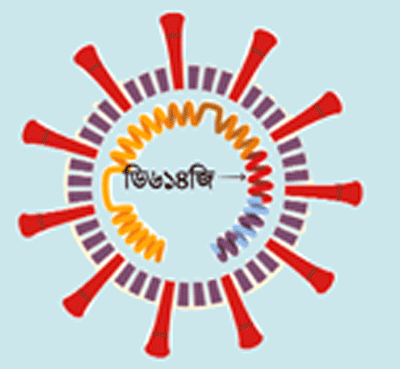 দেশে করোনার বিপজ্জনক মিউটেশন সক্রিয় নয়