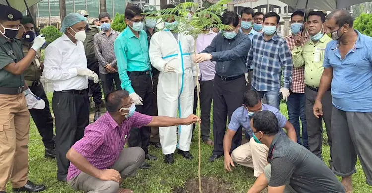 এক লাখ চারা গাছ রোপণ করবে ডিএসসিসি : মেয়র তাপস এক লাখ চারা গাছ রোপণ করবে ডিএসসিসি : মেয়র তাপস