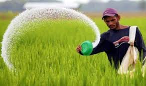 কৃষি উৎপাদন বাড়াতে ৭ লাখ ৩০ হাজার মেট্রিক টন সার আমদানি