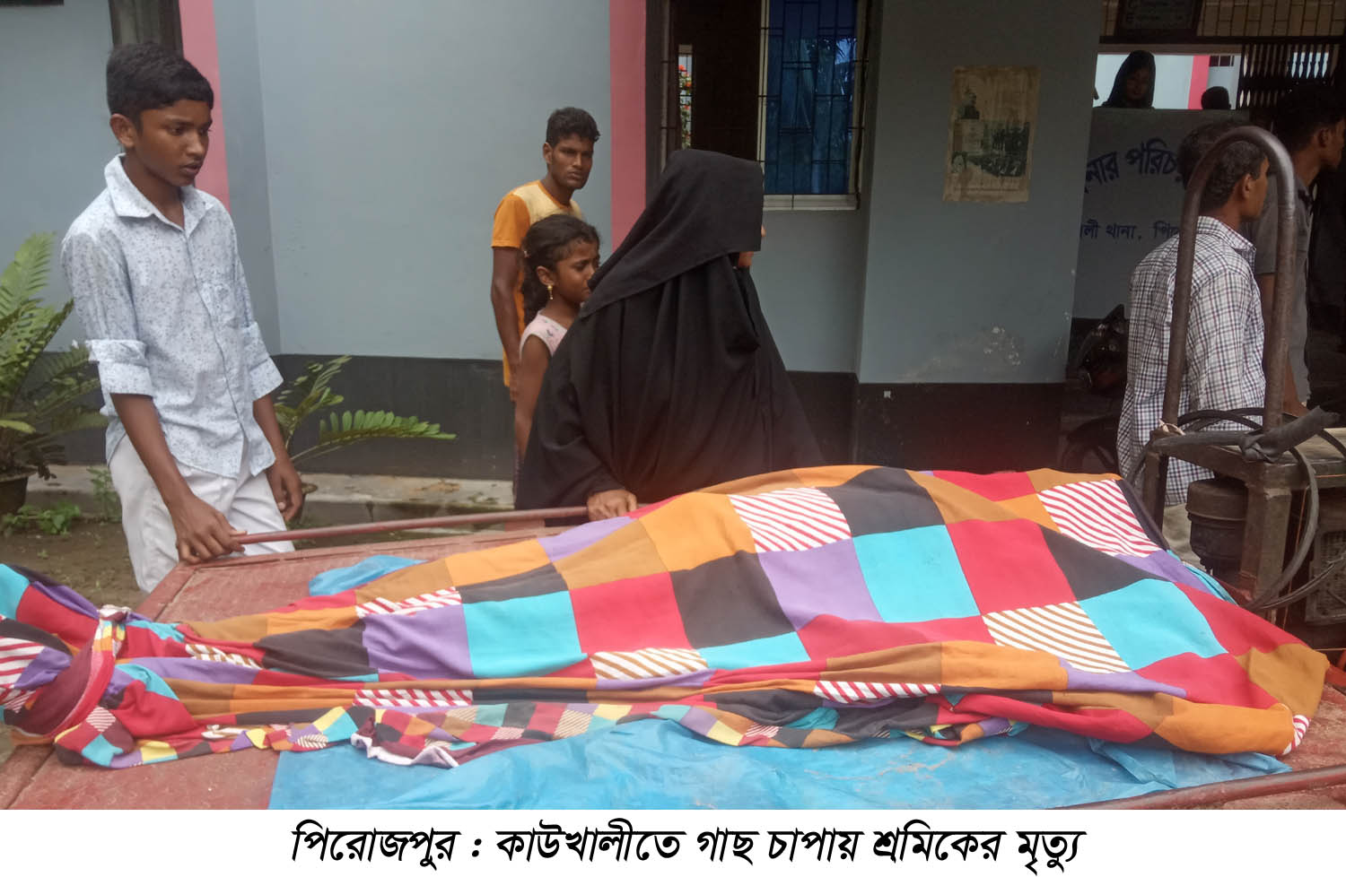 কাউখালীতে গাছ চাপায় শ্রমিকের মৃত্যু কাউখালীতে গাছ চাপায় শ্রমিকের মৃত্যু