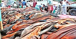 কোরবানির পশুর চামড়ার মূল্য নির্ধারণ কোরবানির পশুর চামড়ার মূল্য নির্ধারণ