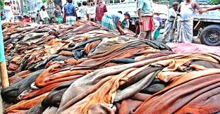 কোরবানির চামড়া সংরক্ষণে তদারকি টিম গঠন করা হচ্ছে