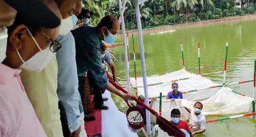 উত্তরায় মাছের পোনা অবমুক্ত করলেন মেয়র আতিক