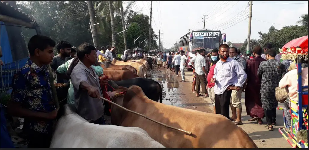 আদমদীঘিতে সড়ক ও রেল লাইনের উপর পশুর হাট