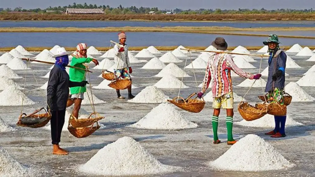 পশুর চামড়া সংরক্ষণে লবণ ঘাটতির আশঙ্কা নেই ॥ বিসিক পশুর চামড়া সংরক্ষণে লবণ ঘাটতির আশঙ্কা নেই ॥ বিসিক