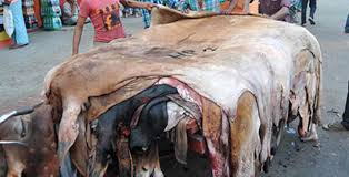 কাঁচা চামড়া কেনার আগ্রহ ২০ জুতা কোম্পানির কাঁচা চামড়া কেনার আগ্রহ ২০ জুতা কোম্পানির