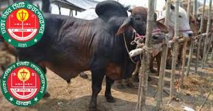 ডিএনসিসি ও ডিএসসিসি কোরবানির বর্জ্য অপসারণে প্রস্তুত ডিএনসিসি ও ডিএসসিসি কোরবানির বর্জ্য অপসারণে প্রস্তুত