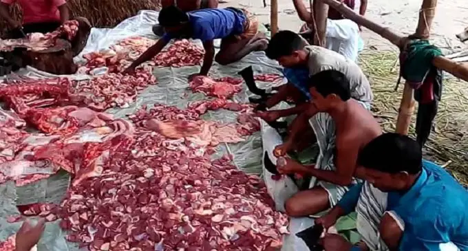 কোরবানির মাংস কাটতে গিয়ে আহত শতাধিক কোরবানির মাংস কাটতে গিয়ে আহত শতাধিক