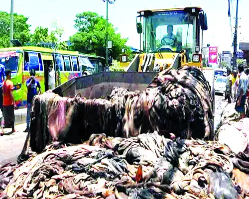 চামড়ার বাজারে ধস ॥ প্রধান চার কারণ চিহ্নিত চামড়ার বাজারে ধস ॥ প্রধান চার কারণ চিহ্নিত