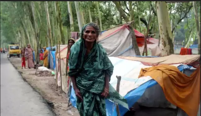 টাঙ্গাইলের গোবিন্দাসী-বঙ্গবন্ধু সেতু সড়কে গরু-ছাগল ও মানুষের বসবাস