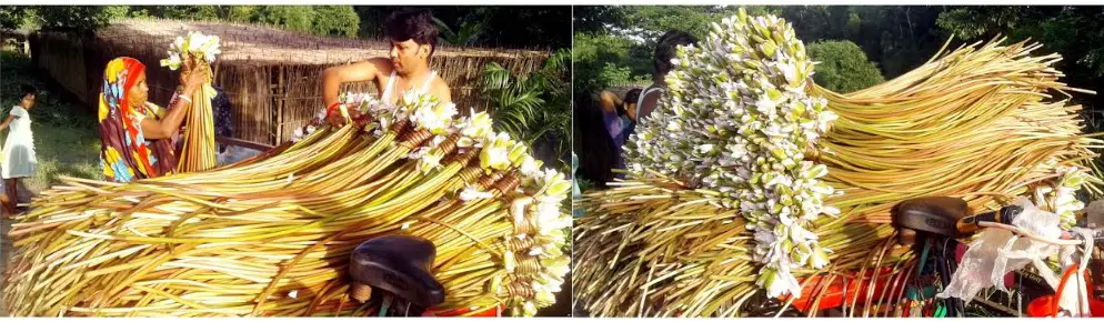 বিলের শাপলায় স্বপ্ন বুনছে ওরা