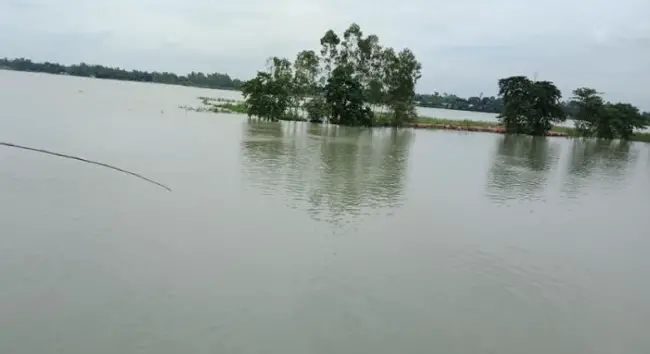 টাঙ্গাইলে সার্বিক বন্যা পরিস্থিতির উন্নতি