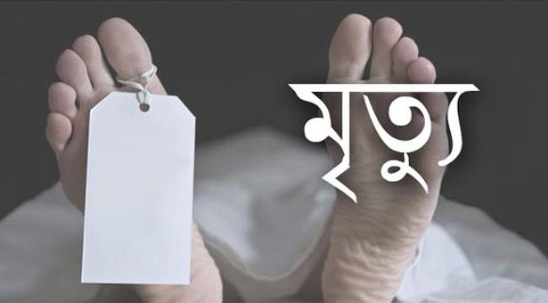 শেরপুরে বিদুৎস্পৃষ্টে সহোদর ২ ভাইয়ের মৃত্যু